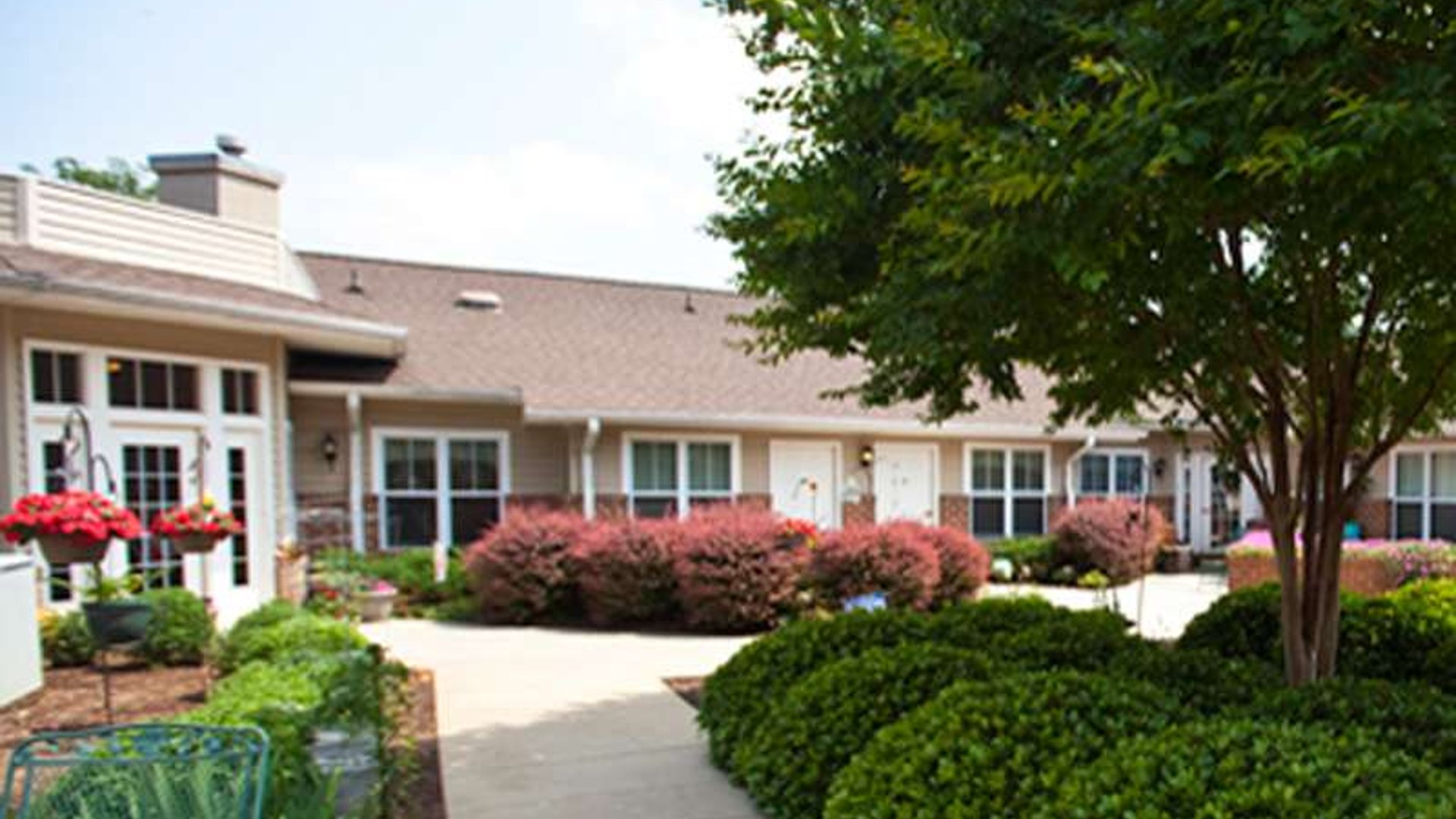 System.Collections.Generic.List`1[AFS.Common.Models.Photo] - Image 1