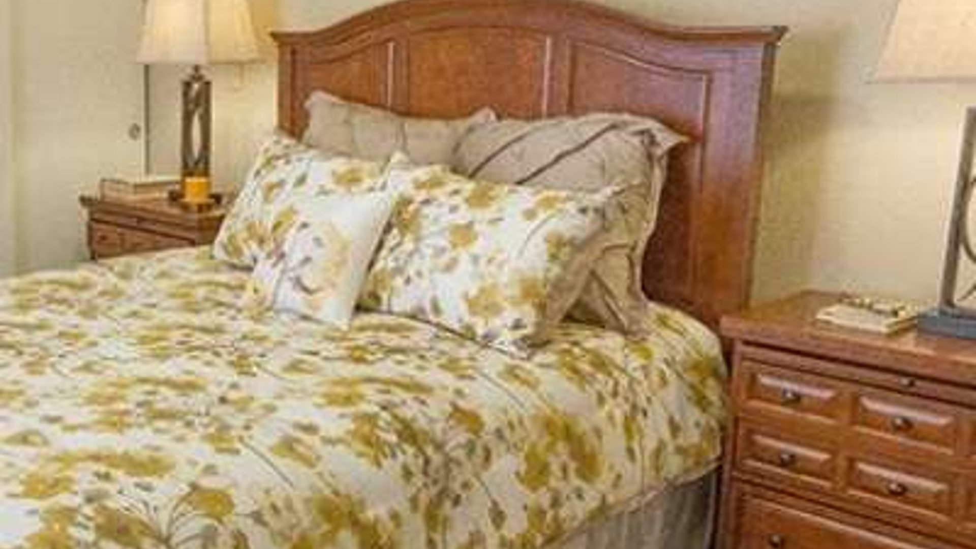 System.Collections.Generic.List`1[AFS.Common.Models.Photo] - Image 4