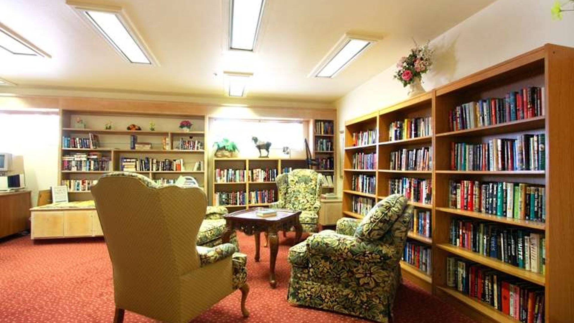 System.Collections.Generic.List`1[AFS.Common.Models.Photo] - Image 4