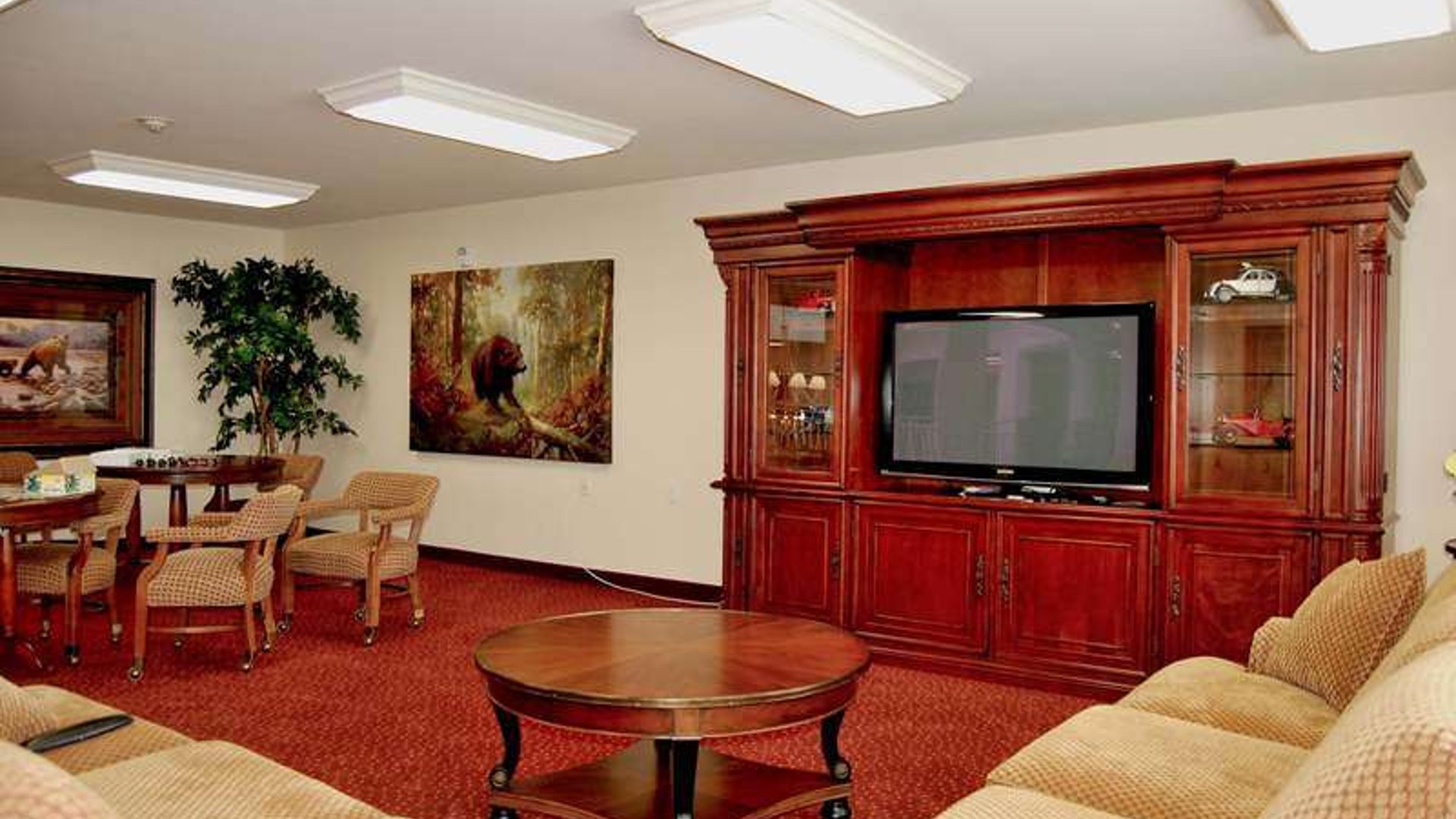 System.Collections.Generic.List`1[AFS.Common.Models.Photo] - Image 4