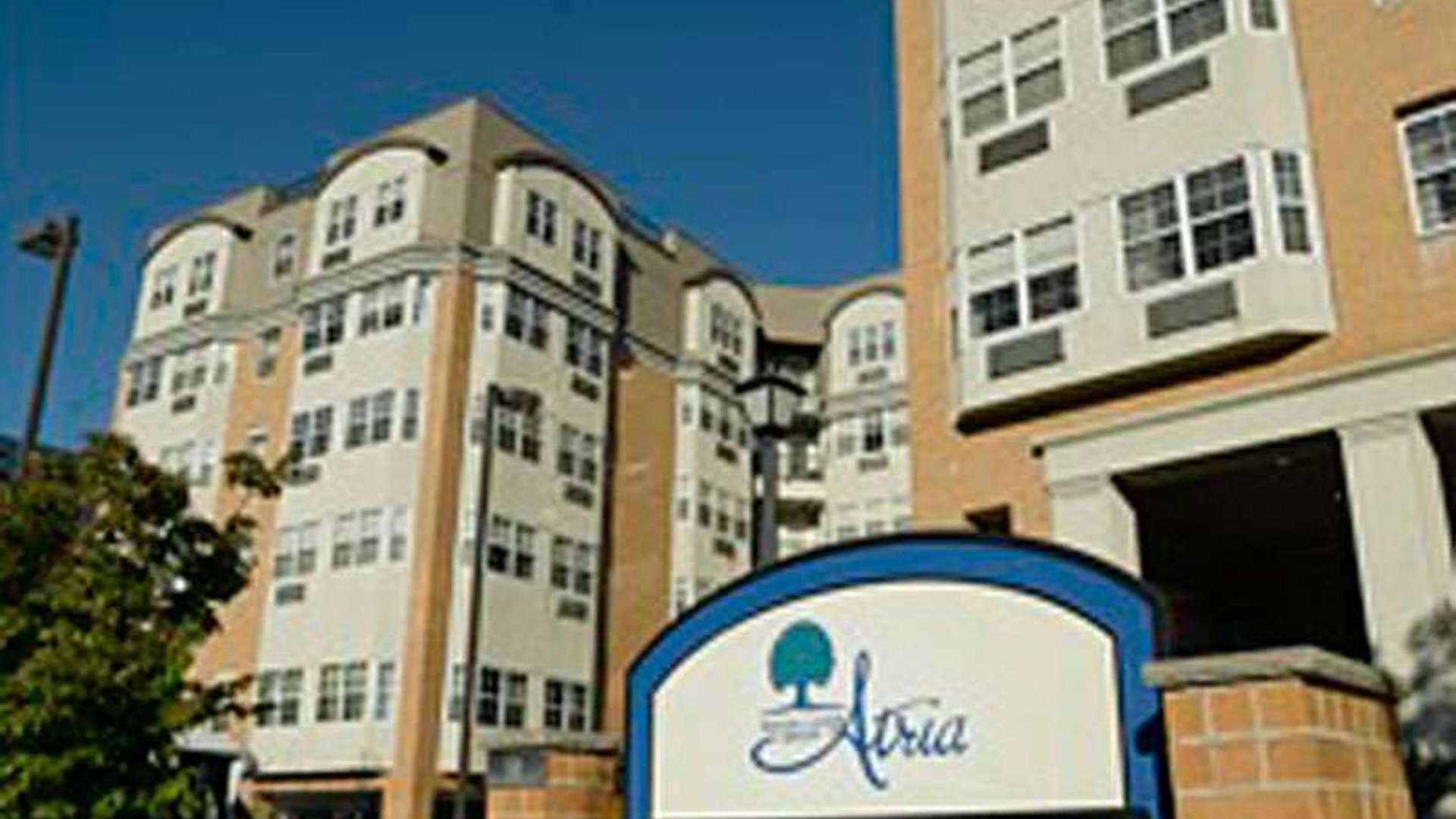 System.Collections.Generic.List`1[AFS.Common.Models.Photo] - Image 1