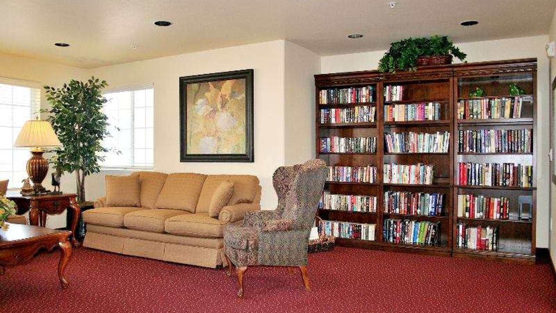 System.Collections.Generic.List`1[AFS.Common.Models.Photo] - Image 4