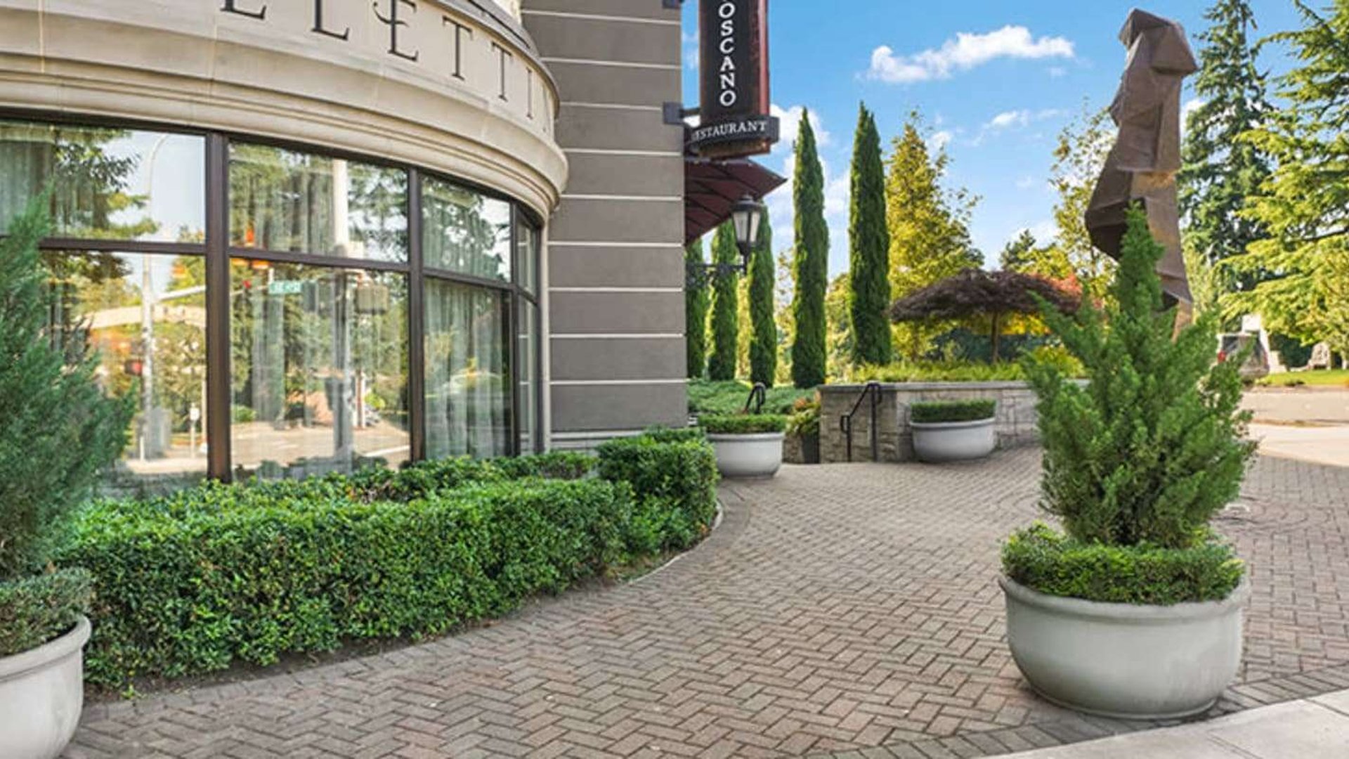 System.Collections.Generic.List`1[AFS.Common.Models.Photo] - Image 1