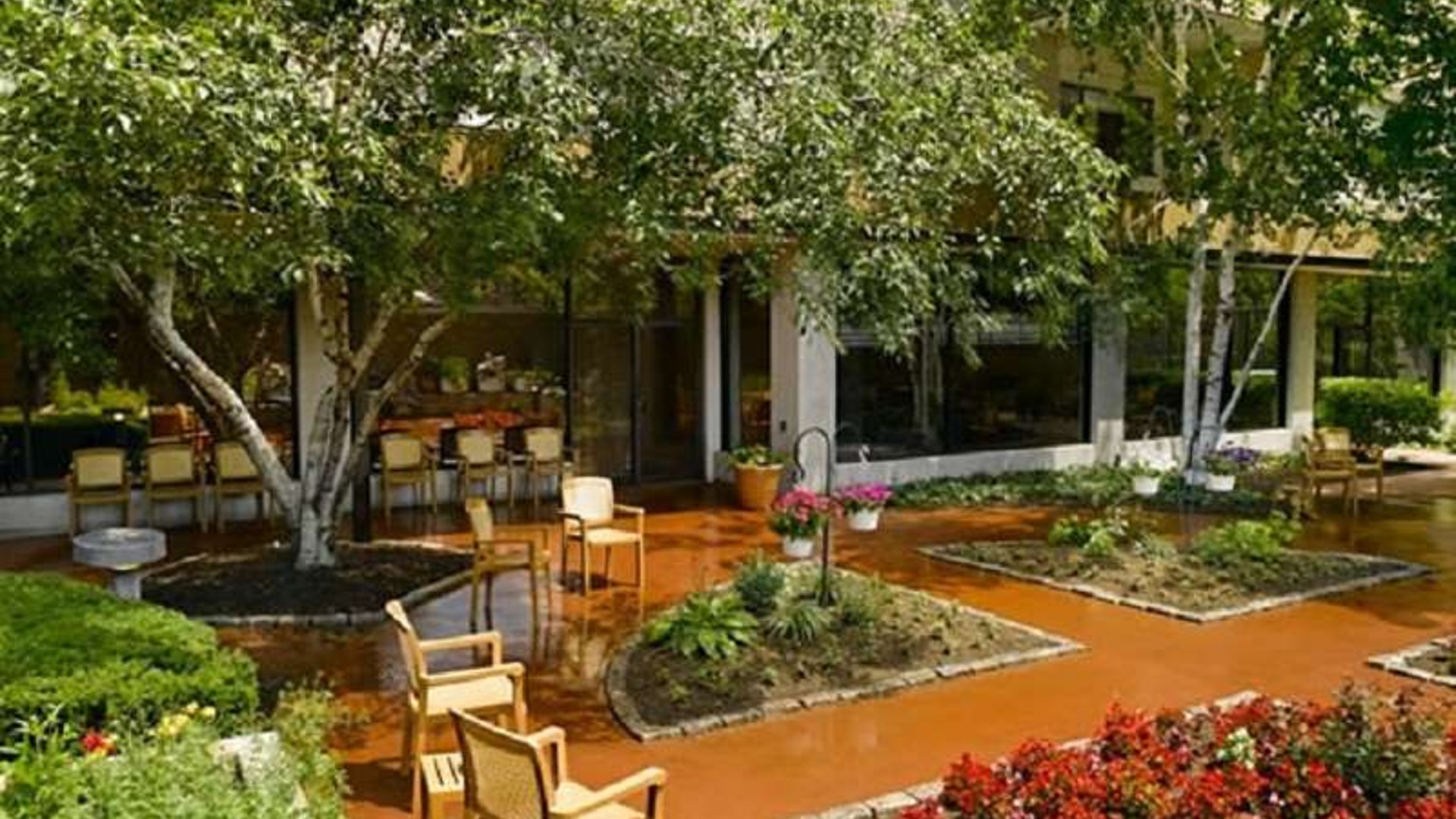 System.Collections.Generic.List`1[AFS.Common.Models.Photo] - Image 6