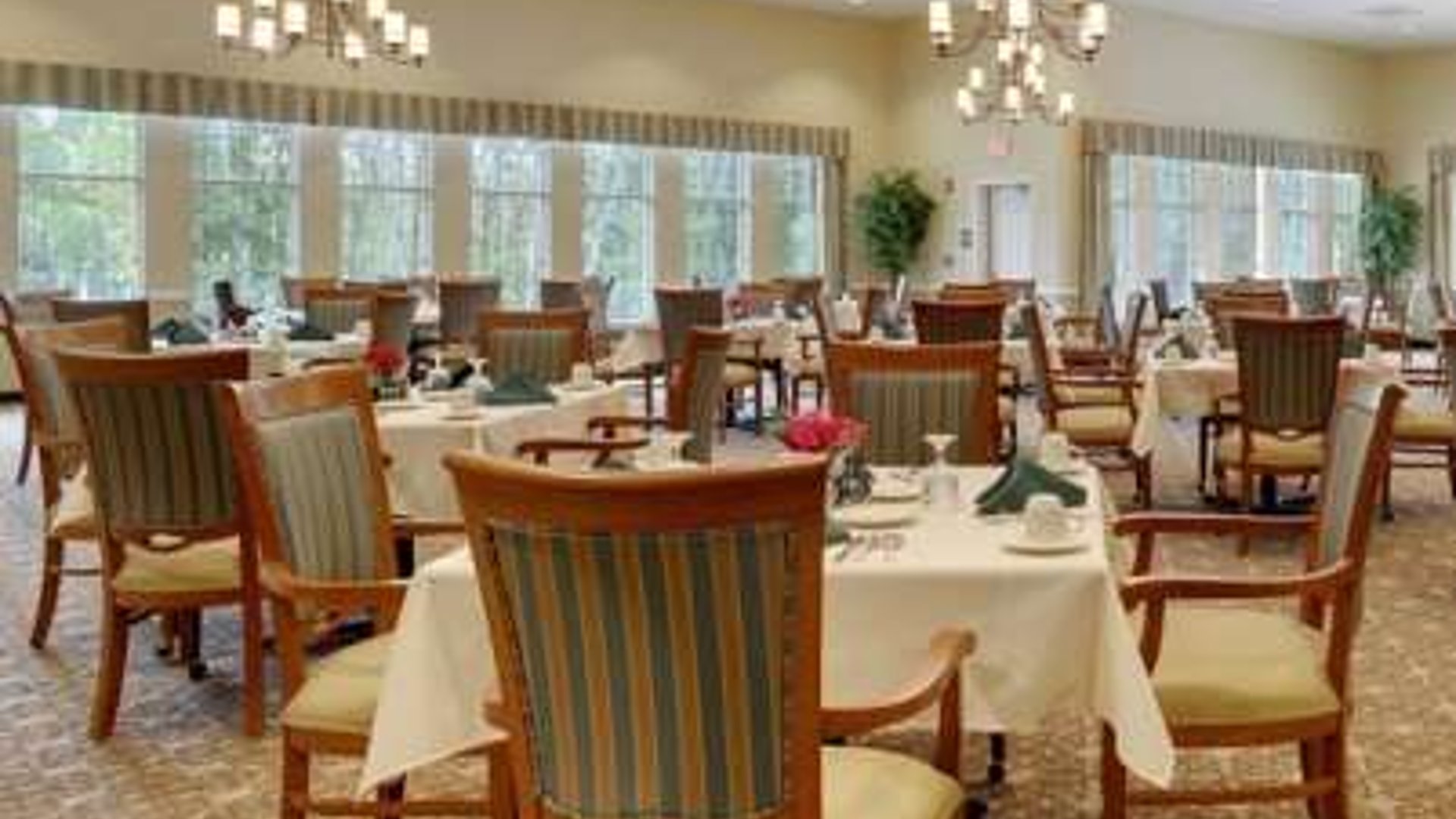 System.Collections.Generic.List`1[AFS.Common.Models.Photo] - Image 2