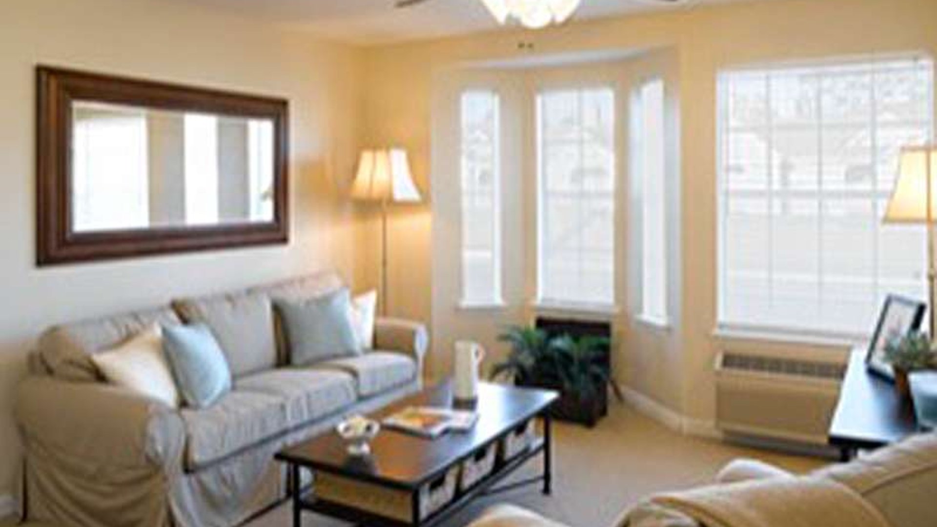 System.Collections.Generic.List`1[AFS.Common.Models.Photo] - Image 3