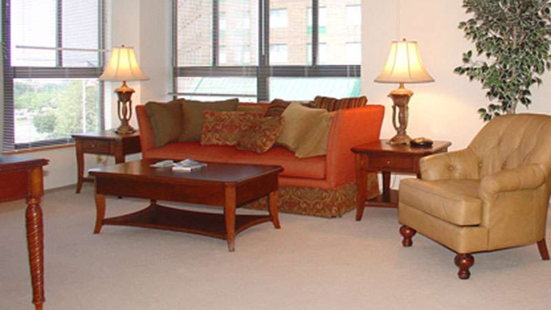 System.Collections.Generic.List`1[AFS.Common.Models.Photo] - Image 3