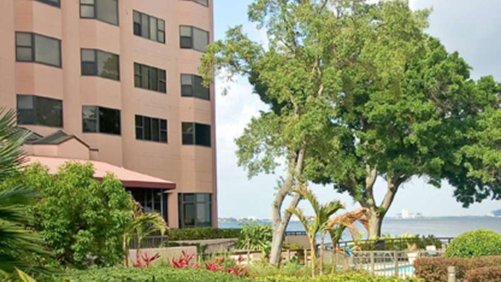 System.Collections.Generic.List`1[AFS.Common.Models.Photo] - Image 1