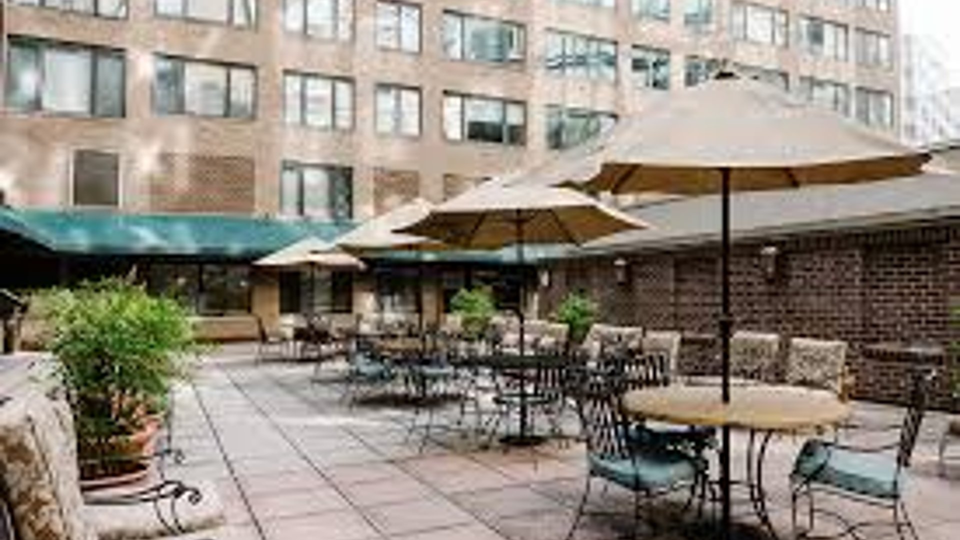 System.Collections.Generic.List`1[AFS.Common.Models.Photo] - Image 1