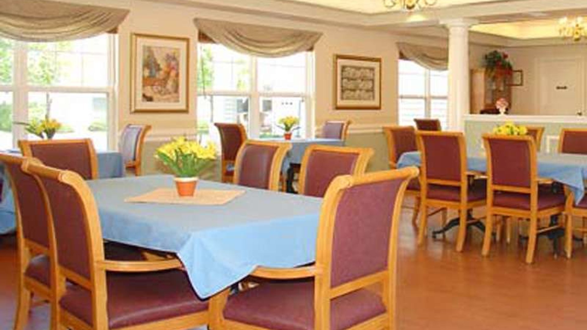 System.Collections.Generic.List`1[AFS.Common.Models.Photo] - Image 4