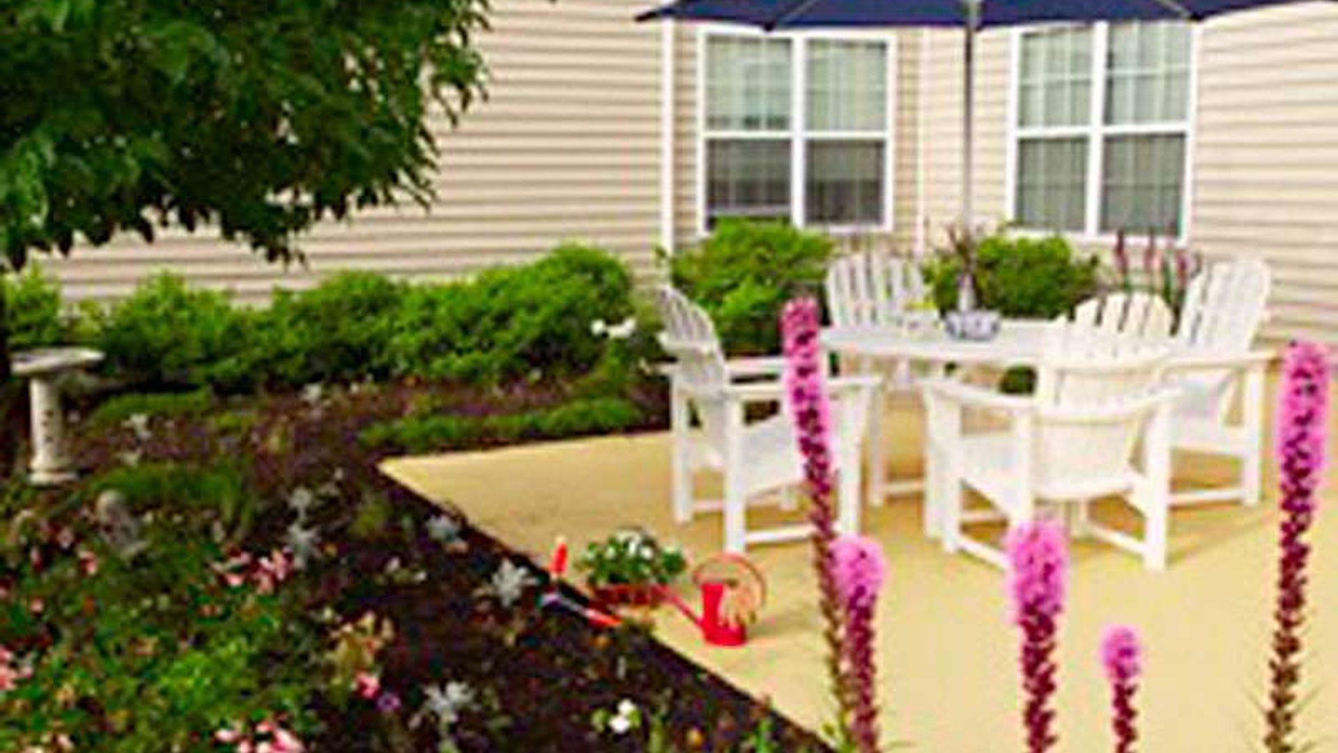 System.Collections.Generic.List`1[AFS.Common.Models.Photo] - Image 2