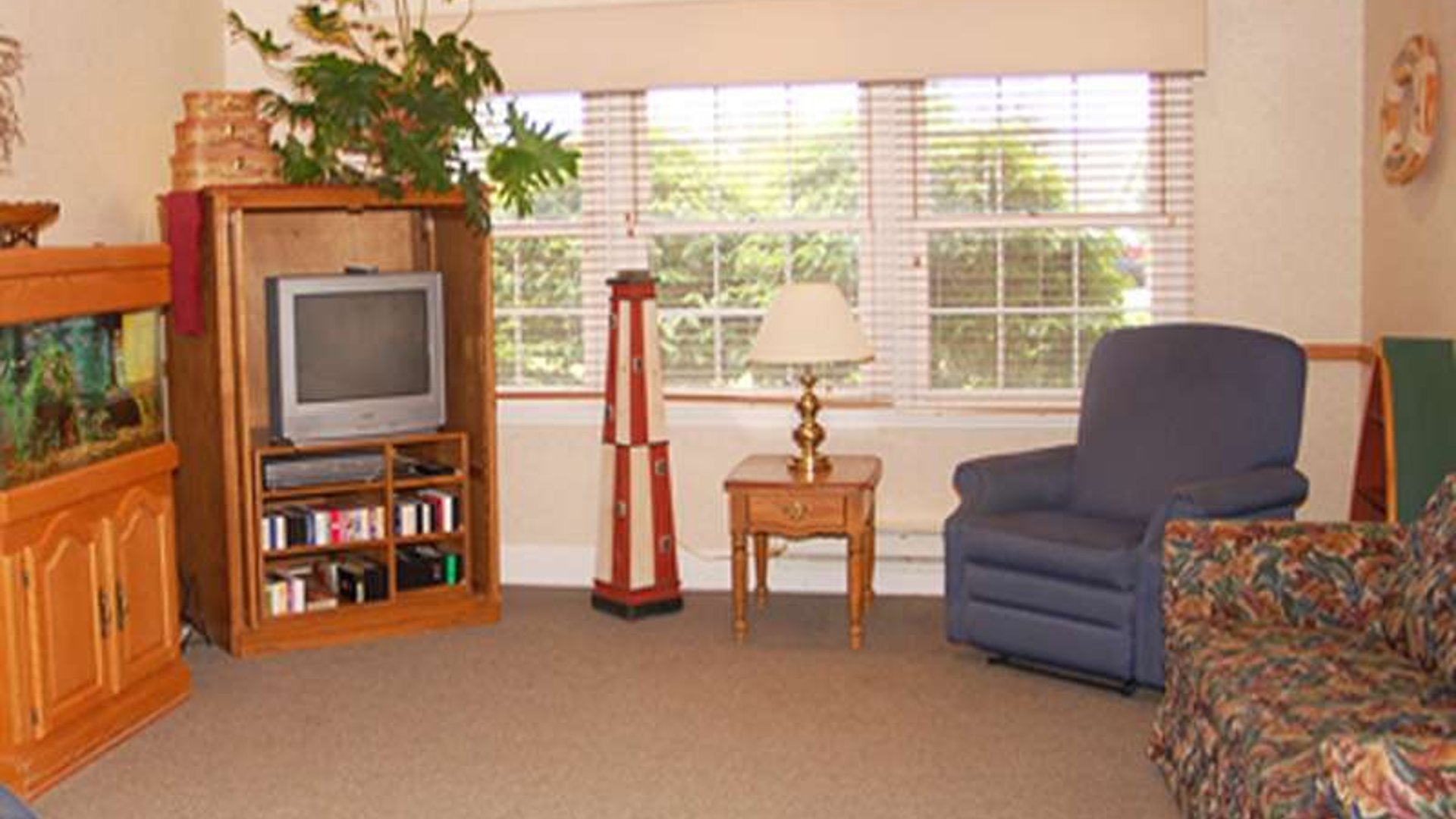 System.Collections.Generic.List`1[AFS.Common.Models.Photo] - Image 4