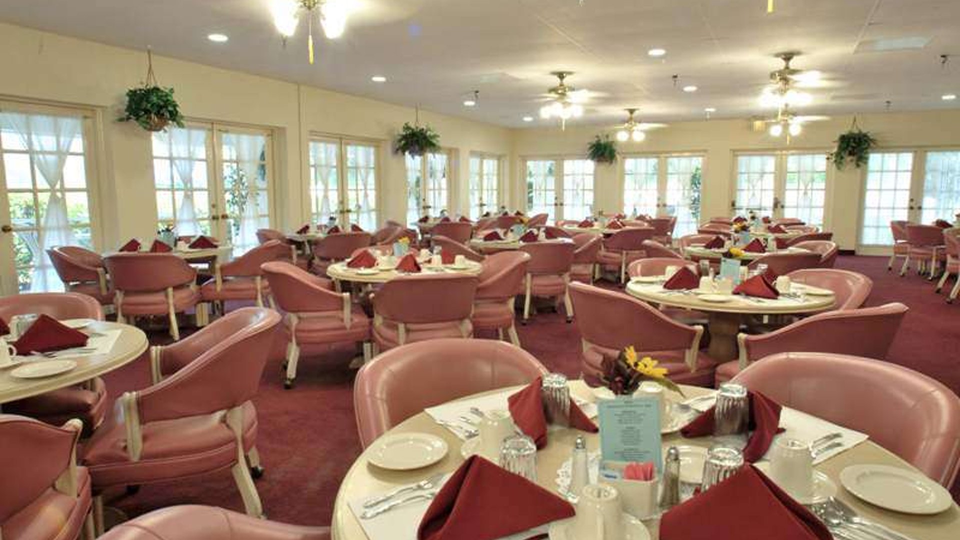 System.Collections.Generic.List`1[AFS.Common.Models.Photo] - Image 3