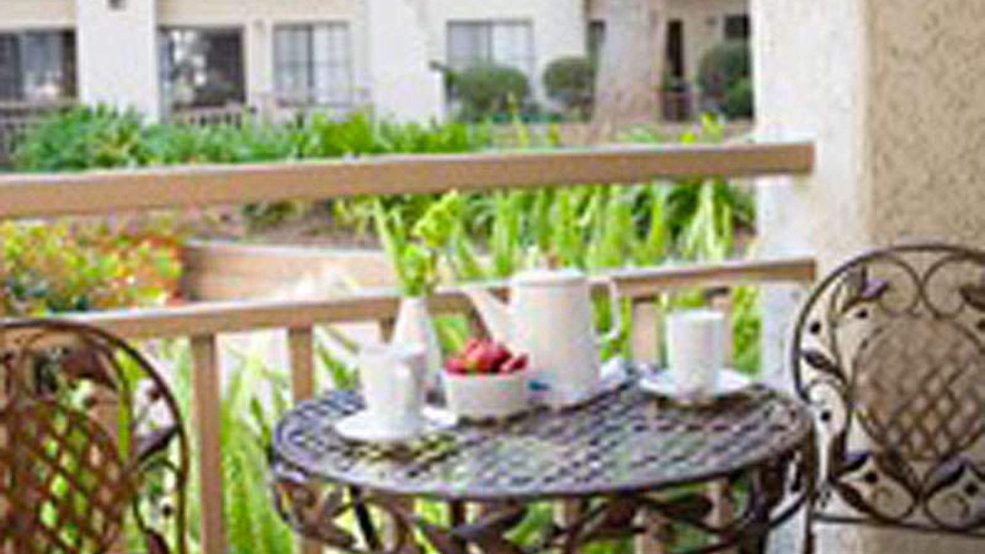 System.Collections.Generic.List`1[AFS.Common.Models.Photo] - Image 5