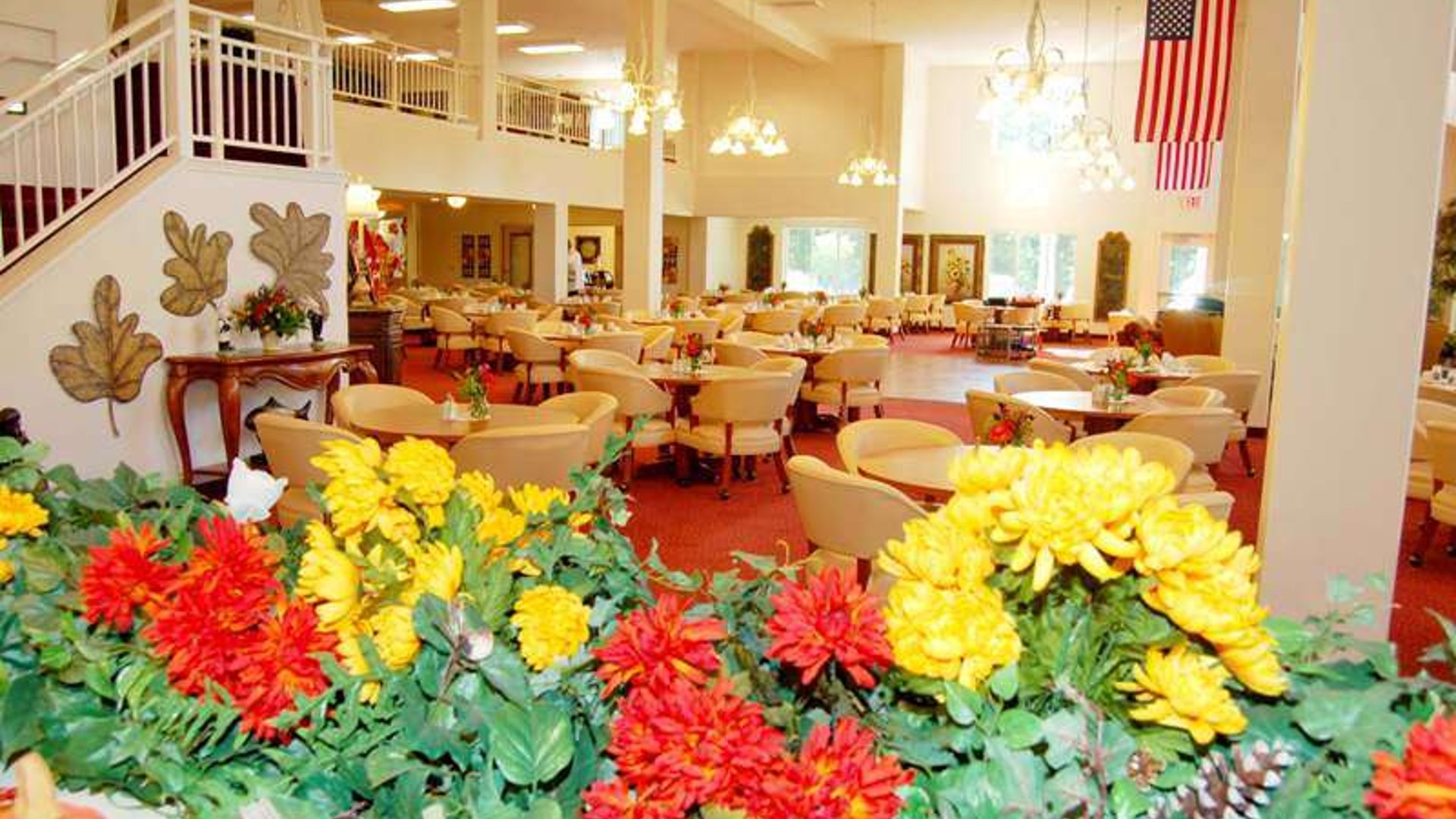 System.Collections.Generic.List`1[AFS.Common.Models.Photo] - Image 3