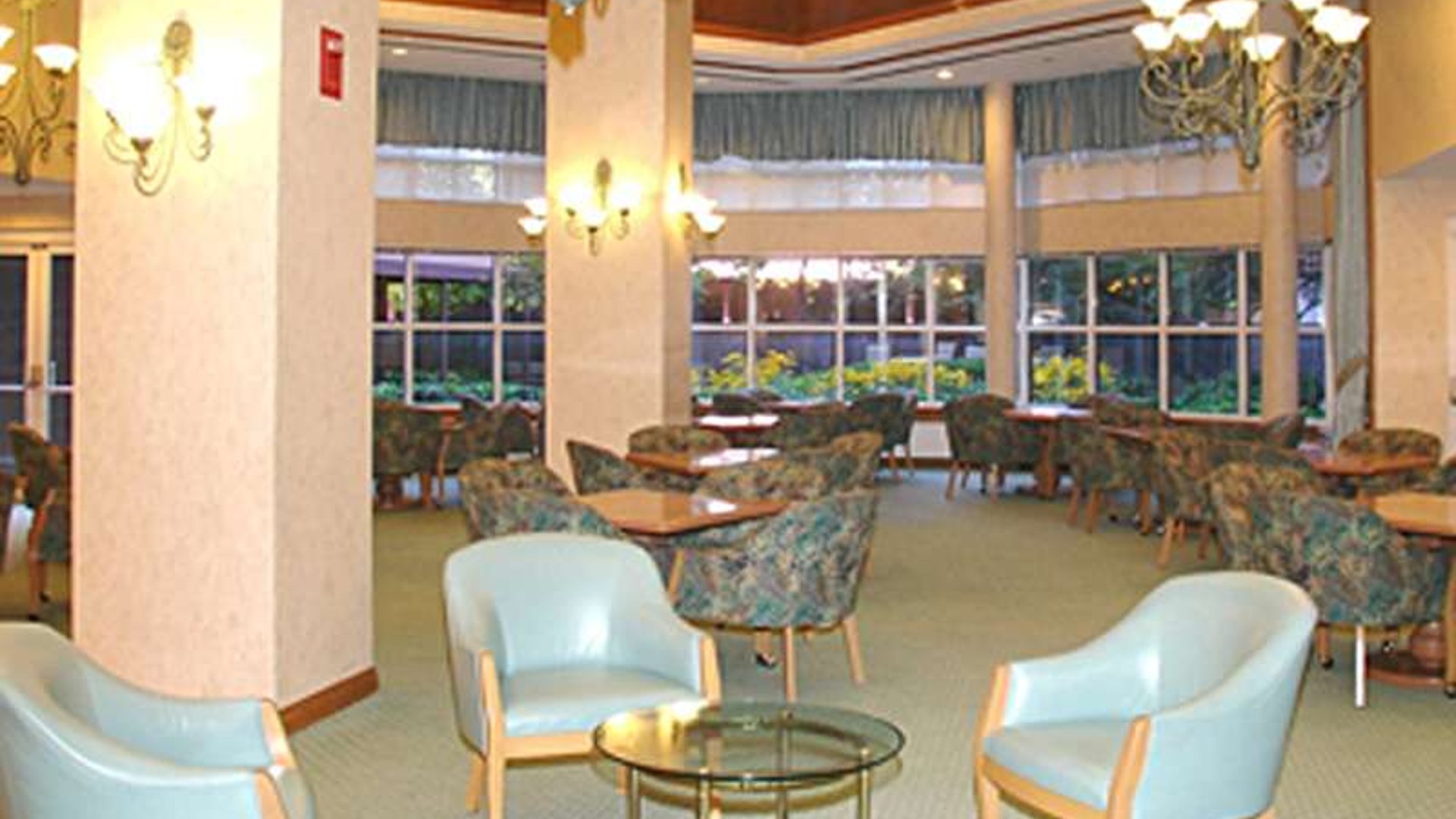 System.Collections.Generic.List`1[AFS.Common.Models.Photo] - Image 5