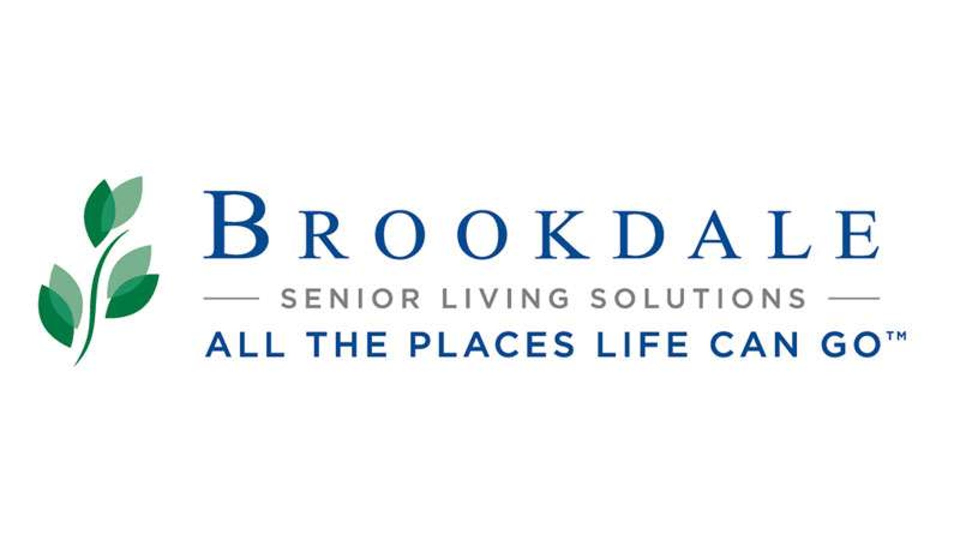 System.Collections.Generic.List`1[AFS.Common.Models.Photo] - Image 2