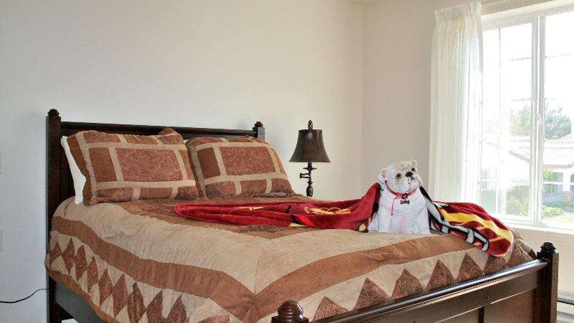 System.Collections.Generic.List`1[AFS.Common.Models.Photo] - Image 5