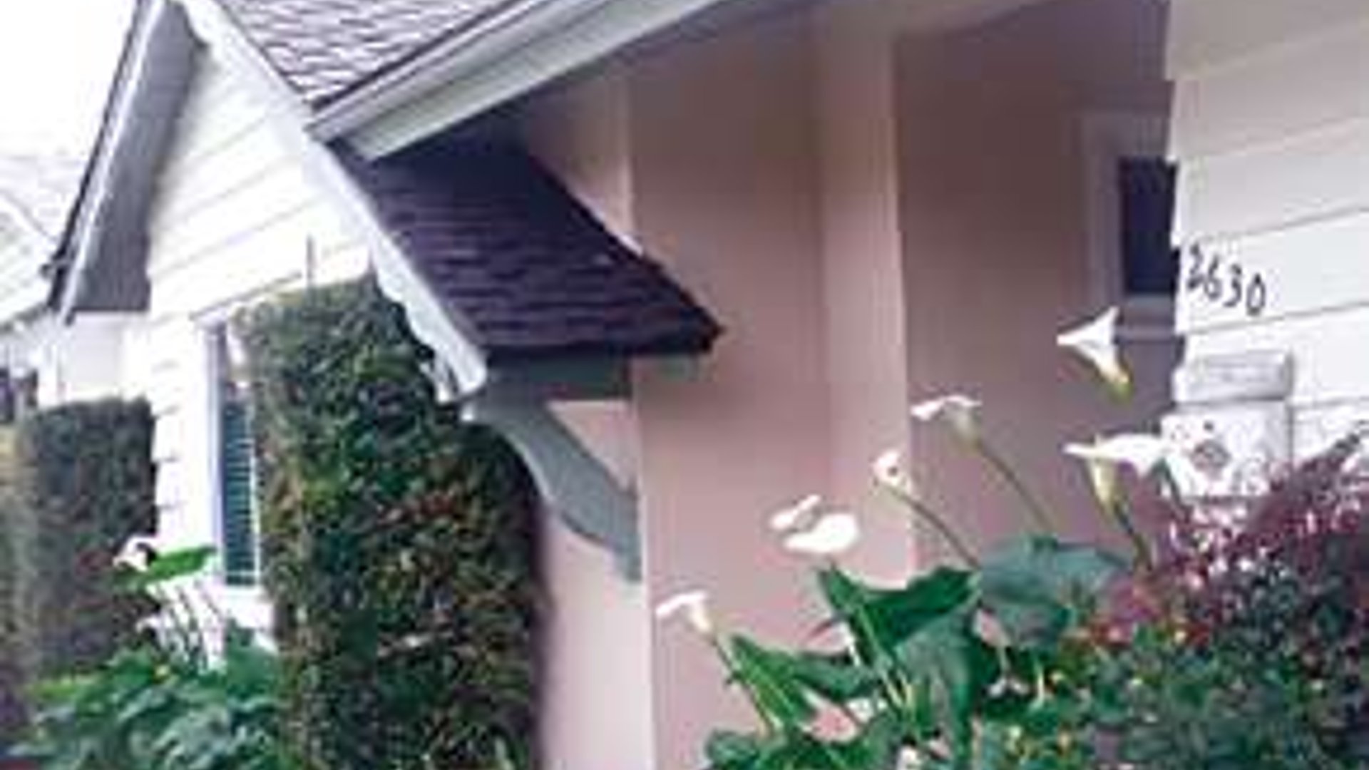 System.Collections.Generic.List`1[AFS.Common.Models.Photo] - Image 1