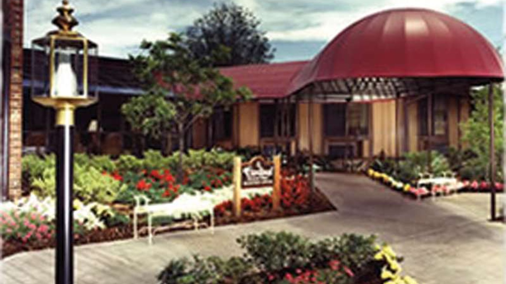 System.Collections.Generic.List`1[AFS.Common.Models.Photo] - Image 1