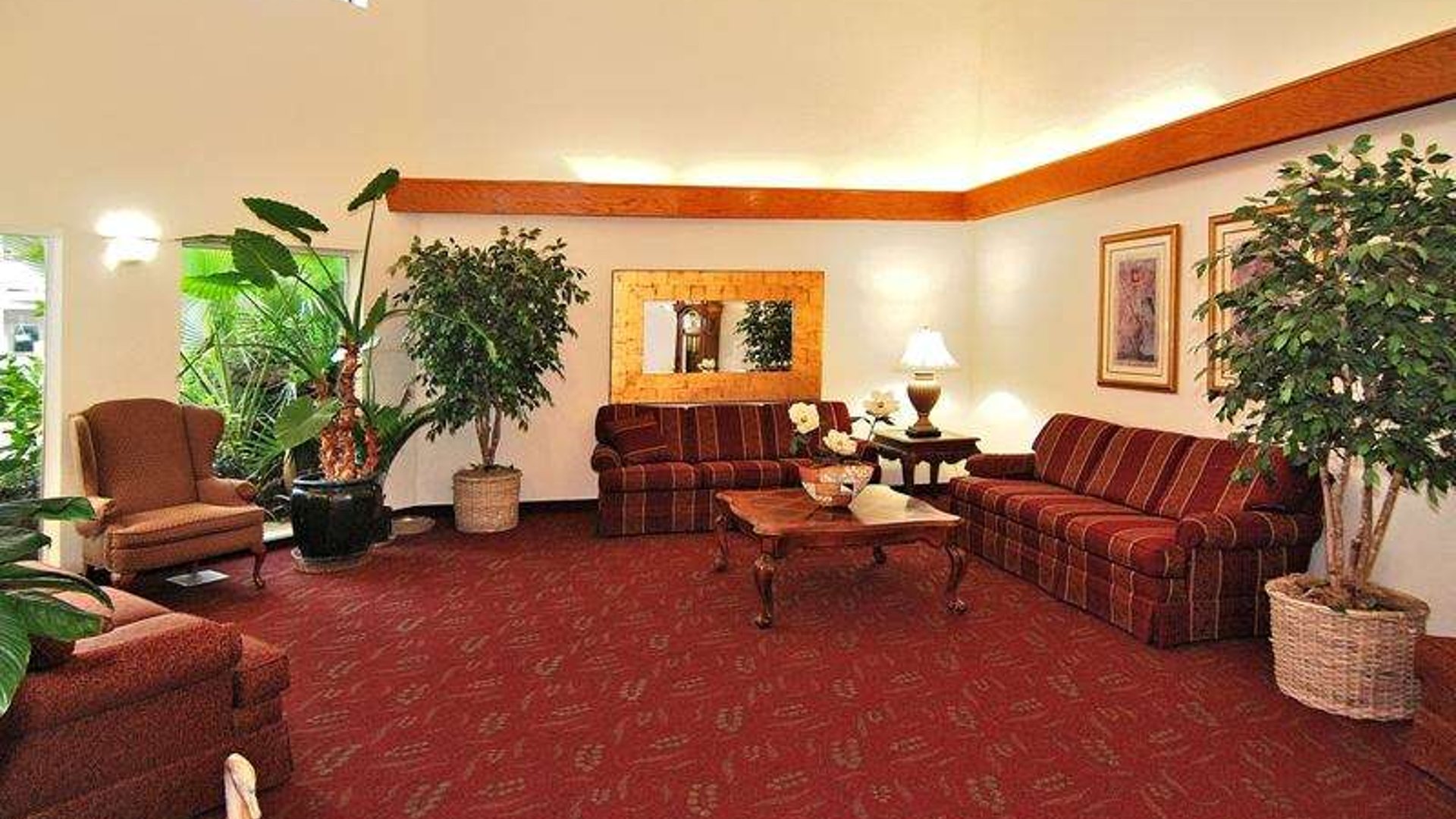 System.Collections.Generic.List`1[AFS.Common.Models.Photo] - Image 2