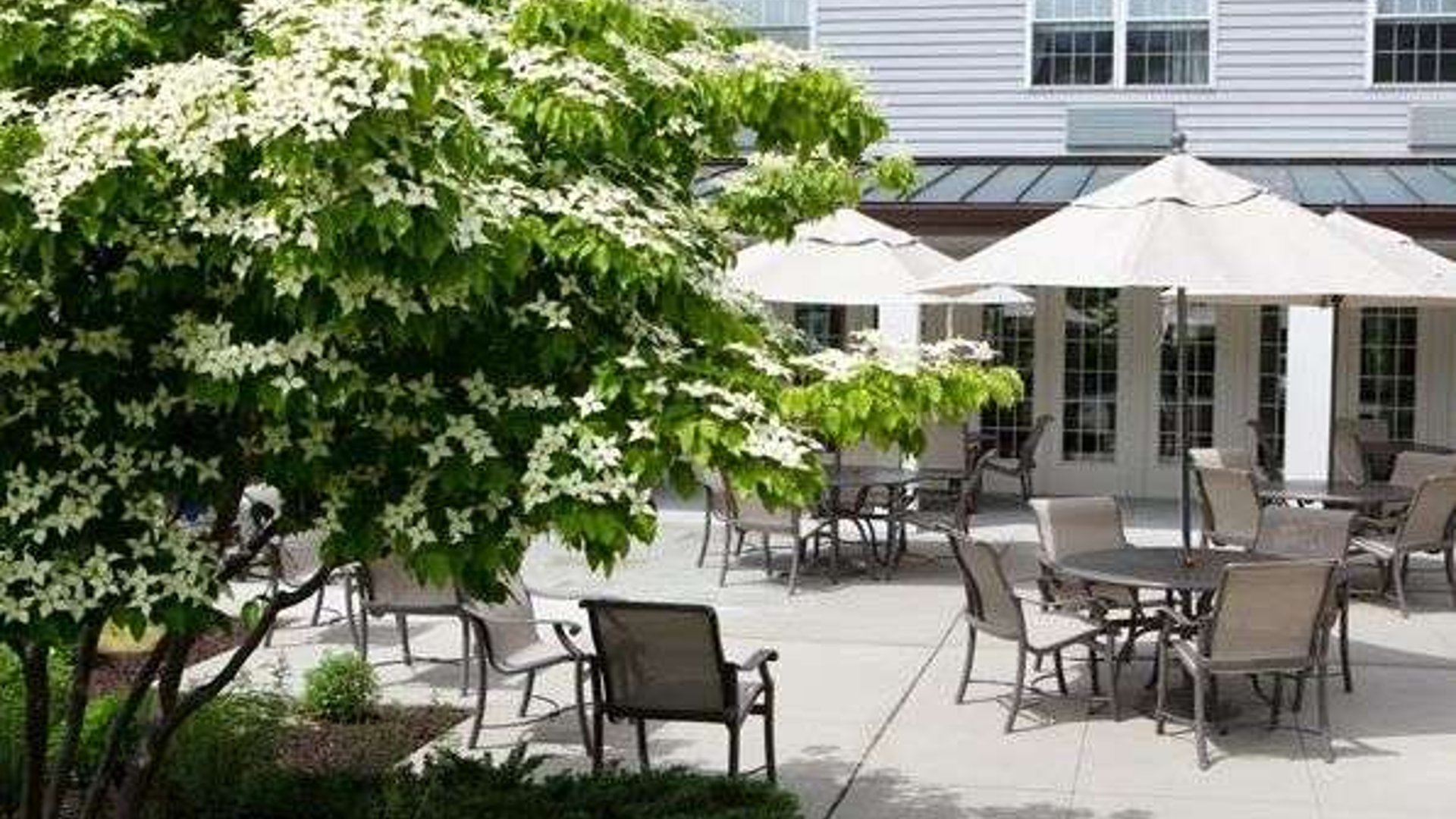 System.Collections.Generic.List`1[AFS.Common.Models.Photo] - Image 6