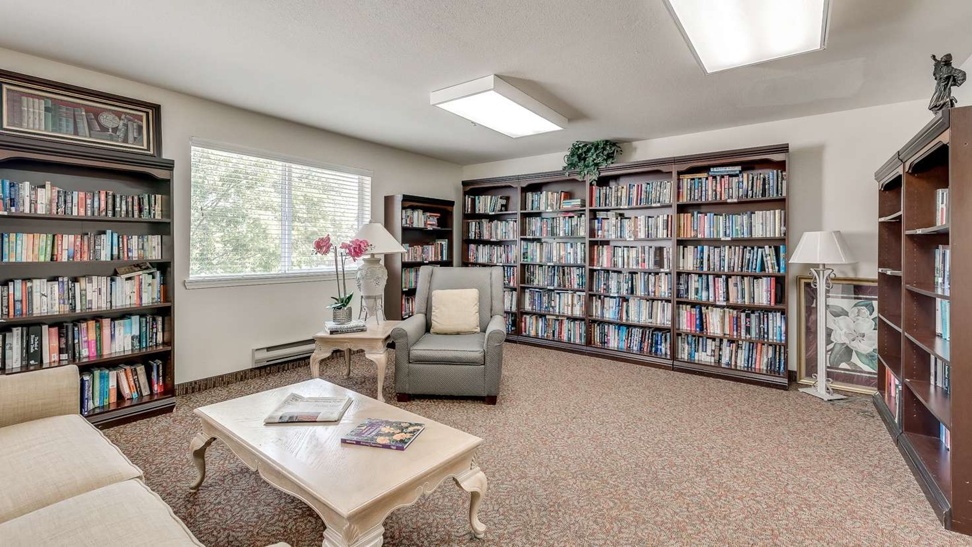 System.Collections.Generic.List`1[AFS.Common.Models.Photo] - Image 3