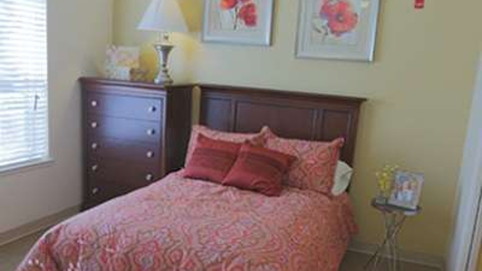 System.Collections.Generic.List`1[AFS.Common.Models.Photo] - Image 6