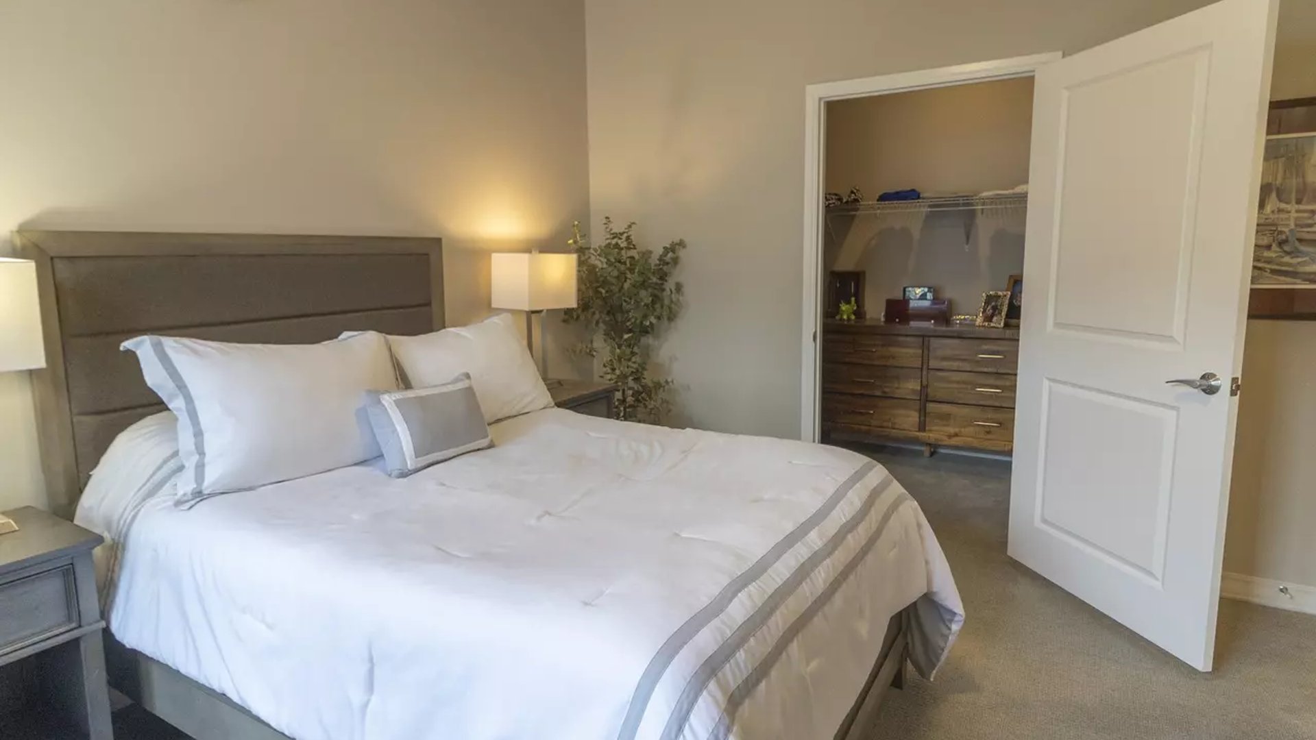 System.Collections.Generic.List`1[AFS.Common.Models.Photo] - Image 6