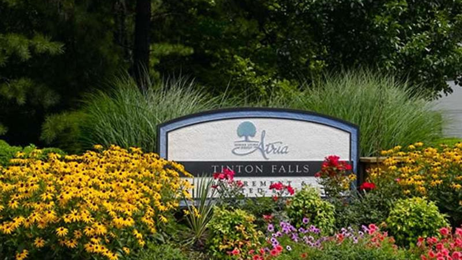 System.Collections.Generic.List`1[AFS.Common.Models.Photo] - Image 3