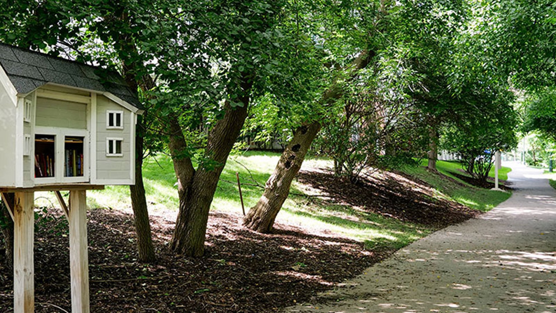 System.Collections.Generic.List`1[AFS.Common.Models.Photo] - Image 2