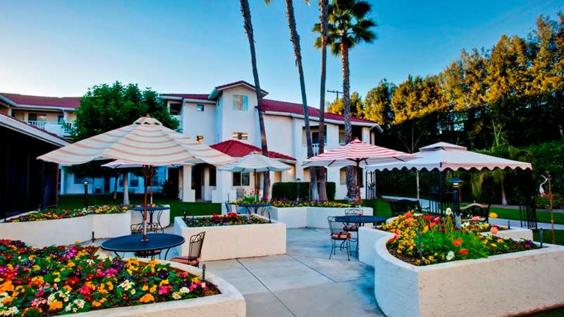 System.Collections.Generic.List`1[AFS.Common.Models.Photo] - Image 6