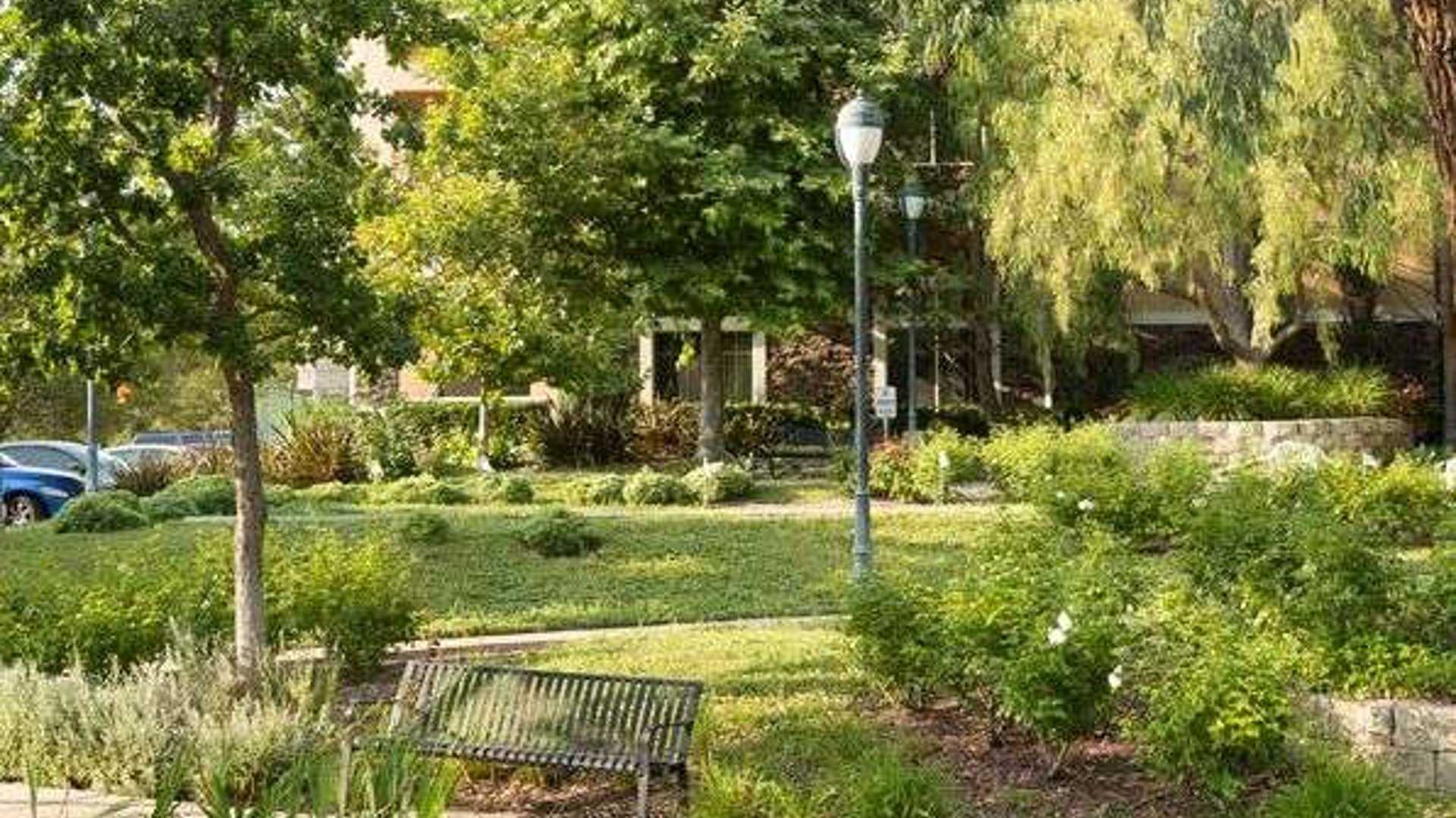 System.Collections.Generic.List`1[AFS.Common.Models.Photo] - Image 5