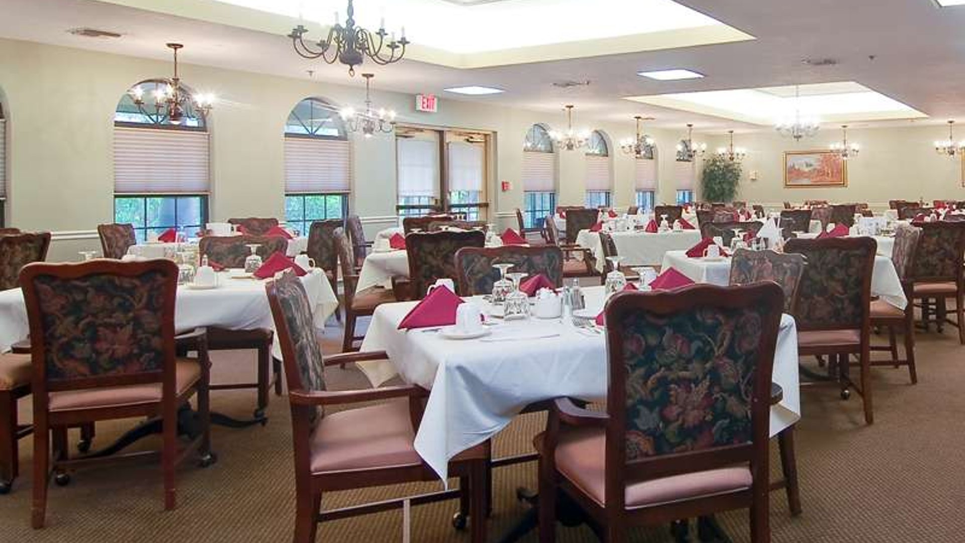 System.Collections.Generic.List`1[AFS.Common.Models.Photo] - Image 3