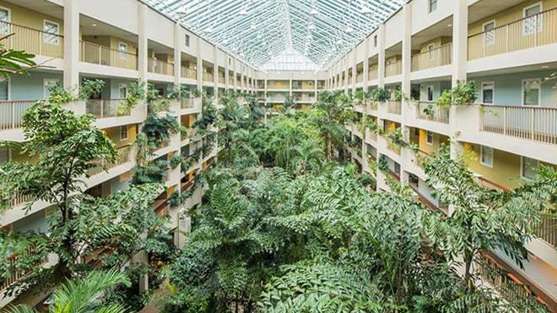 System.Collections.Generic.List`1[AFS.Common.Models.Photo] - Image 2