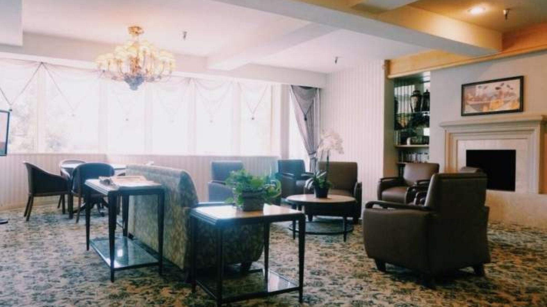 System.Collections.Generic.List`1[AFS.Common.Models.Photo] - Image 1