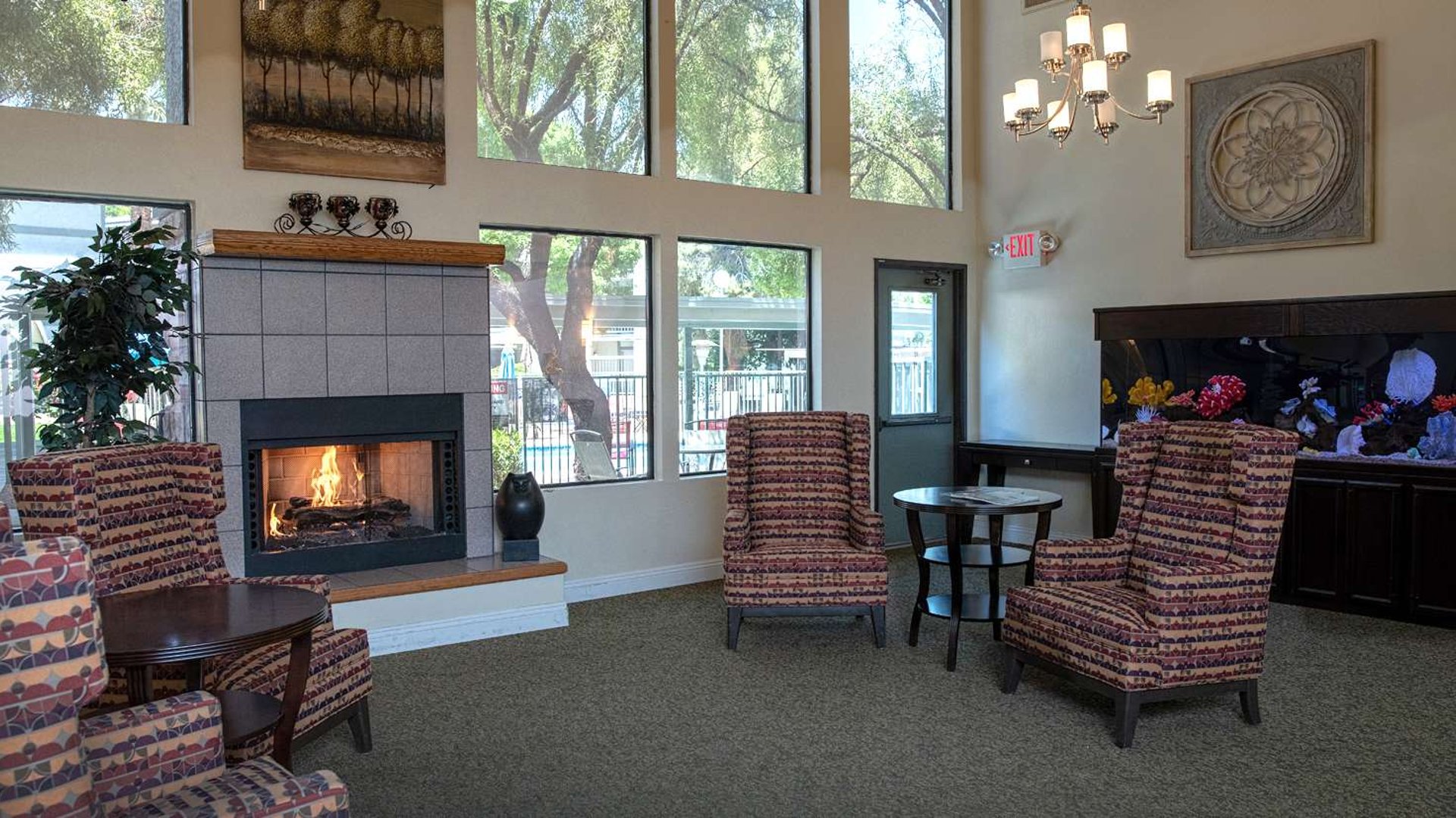 System.Collections.Generic.List`1[AFS.Common.Models.Photo] - Image 4