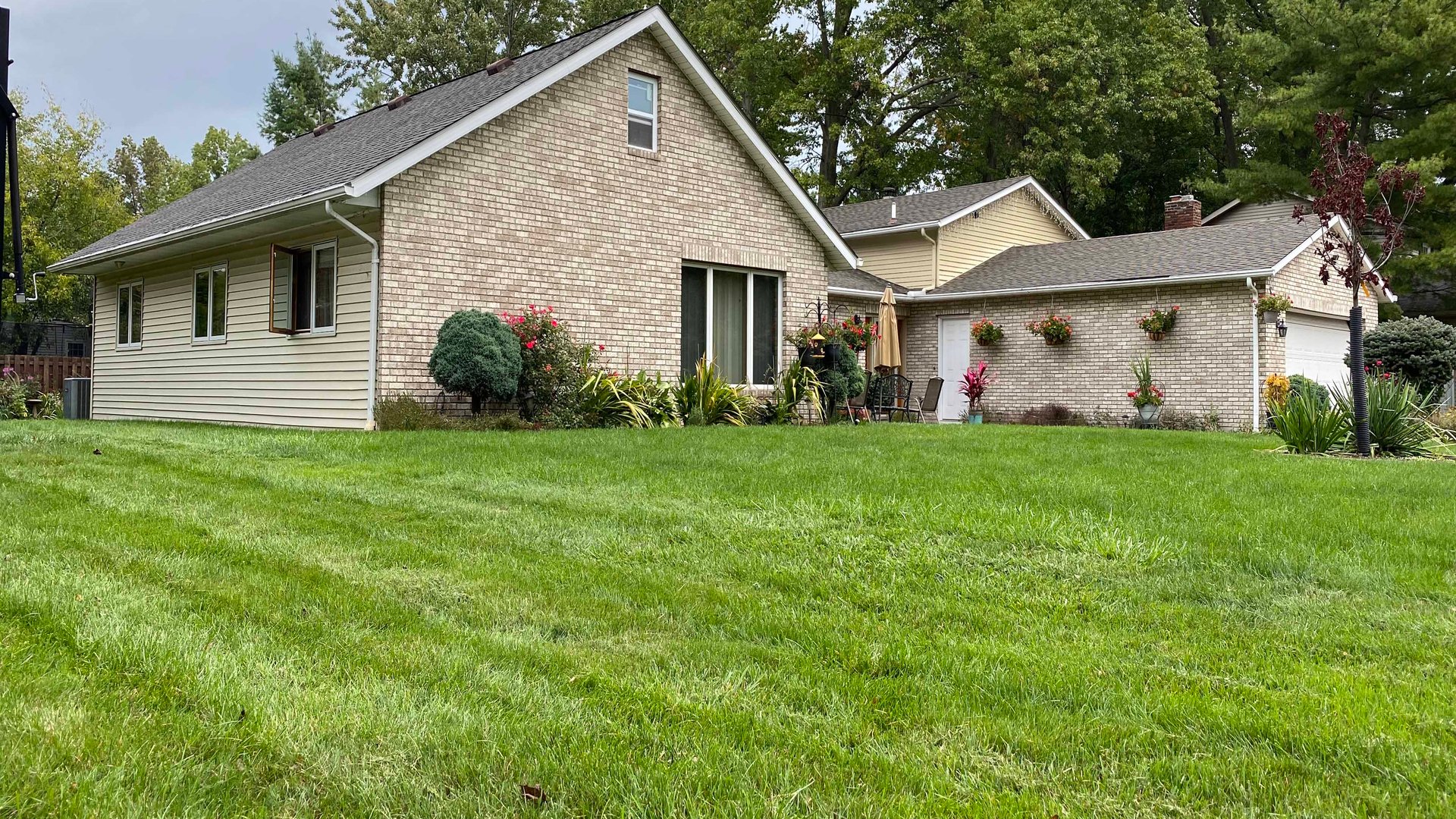 System.Collections.Generic.List`1[AFS.Common.Models.Photo] - Image 1