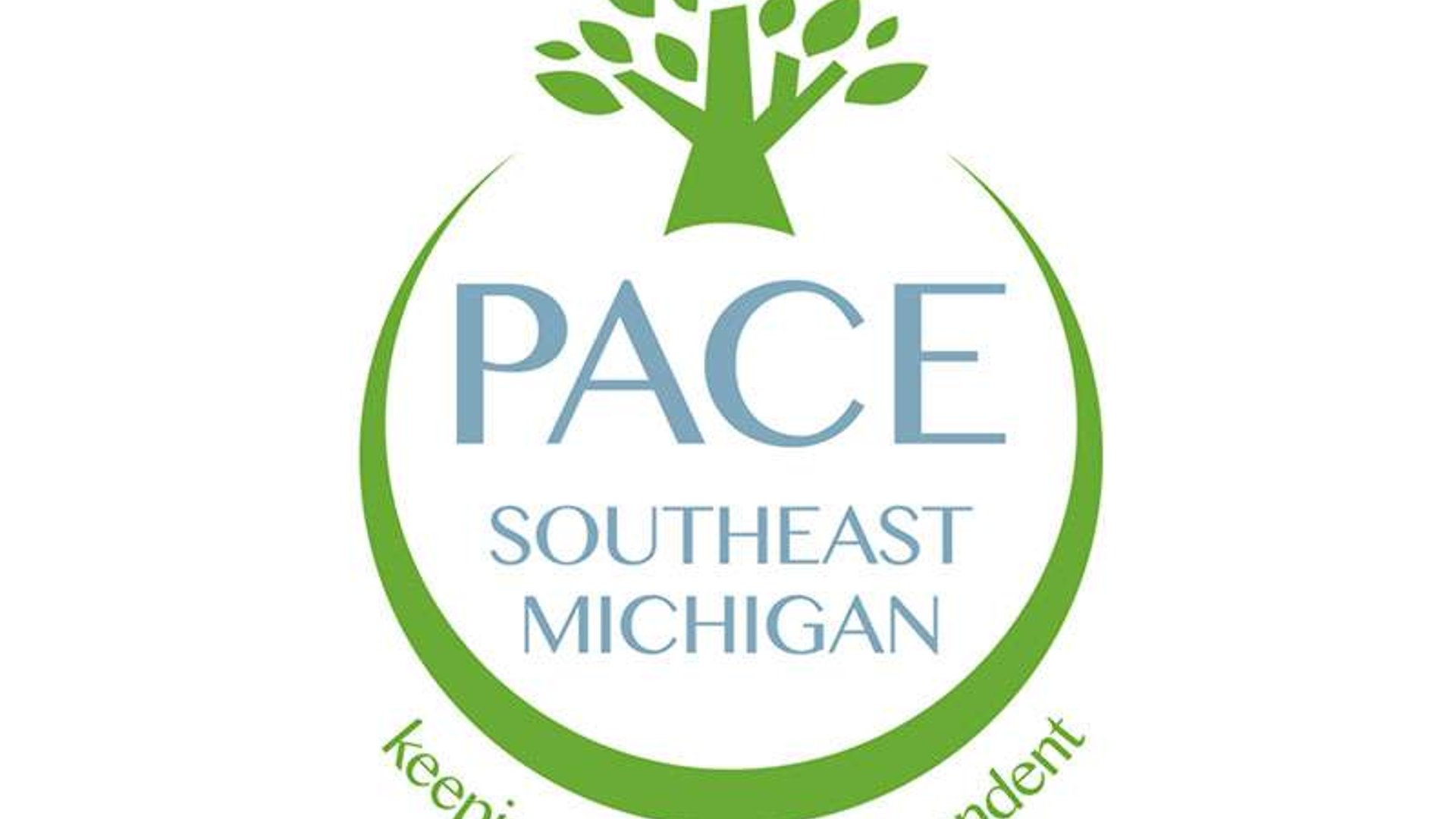 System.Collections.Generic.List`1[AFS.Common.Models.Photo] - Image 1