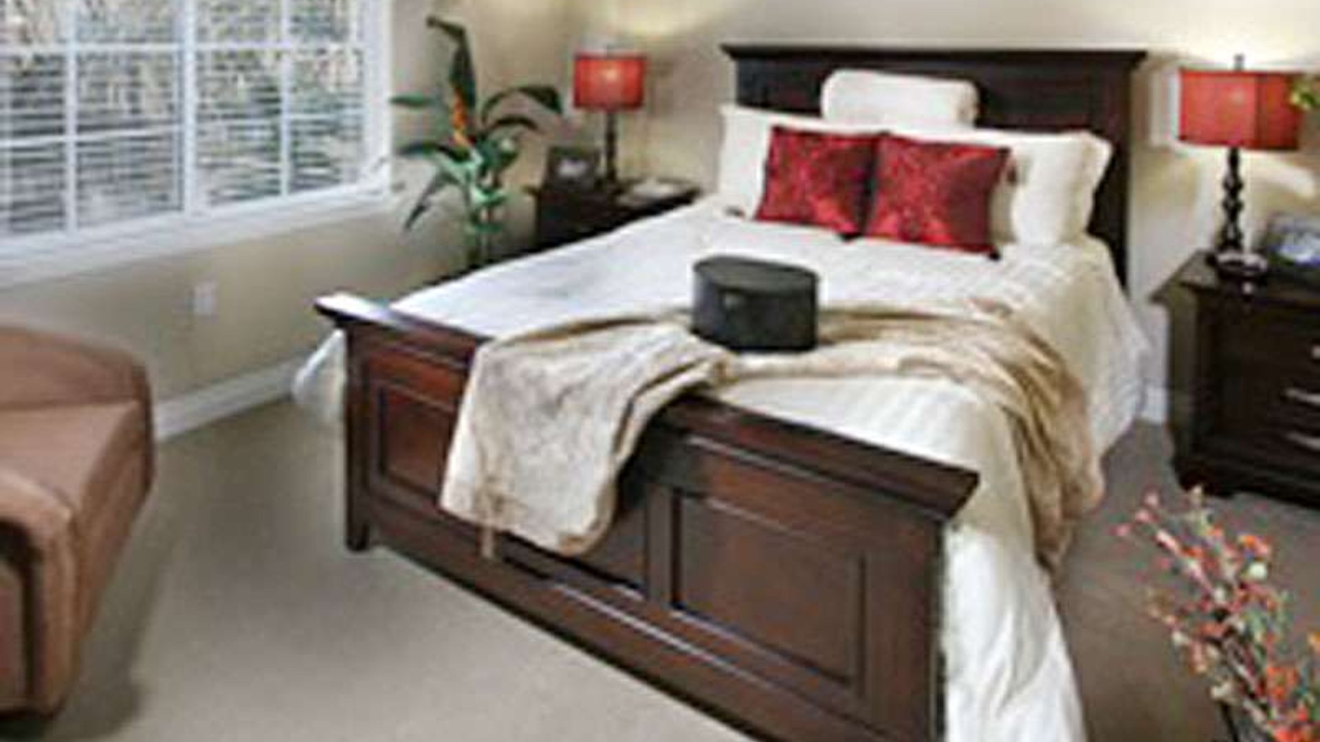 System.Collections.Generic.List`1[AFS.Common.Models.Photo] - Image 5