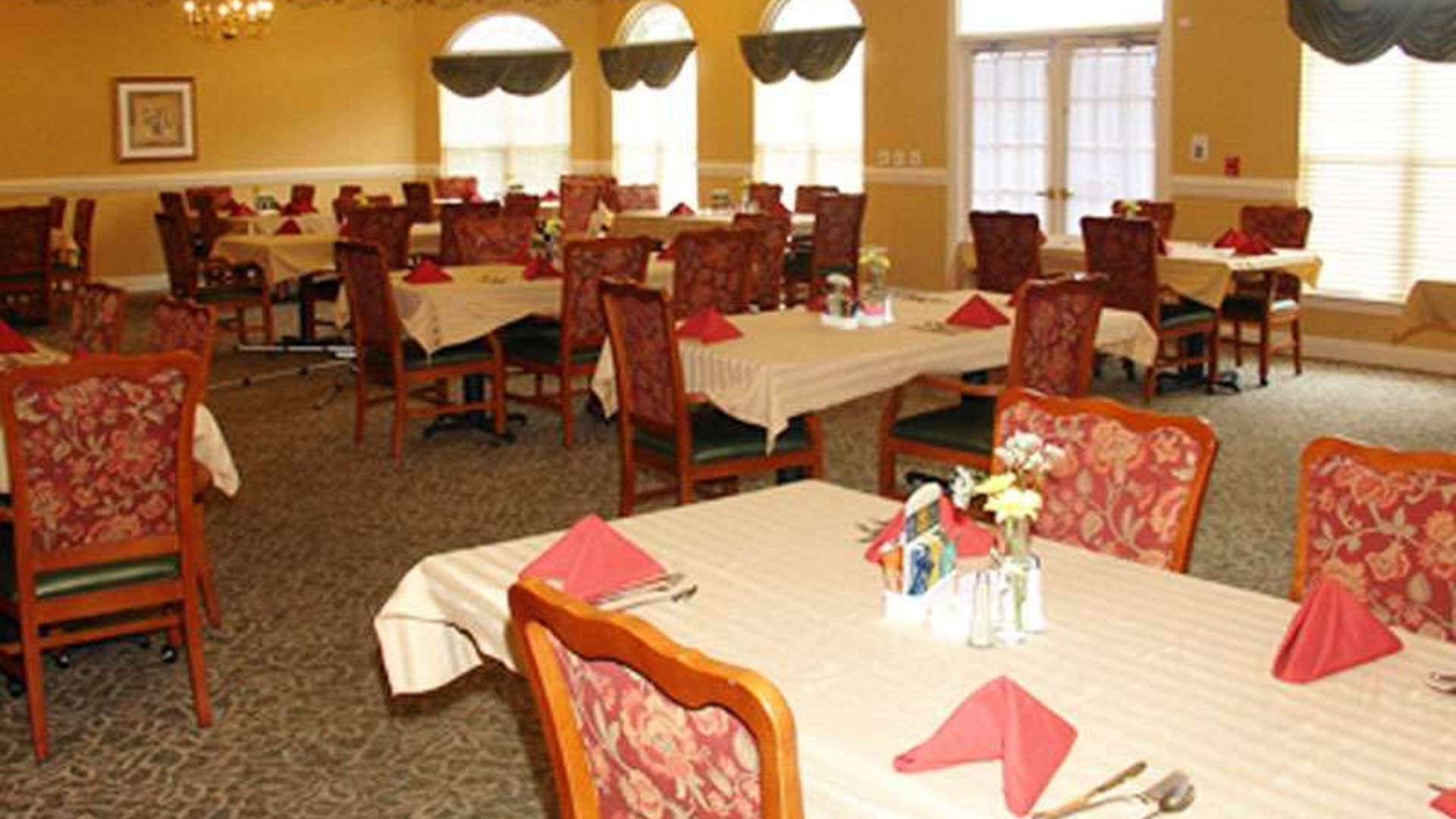 System.Collections.Generic.List`1[AFS.Common.Models.Photo] - Image 3