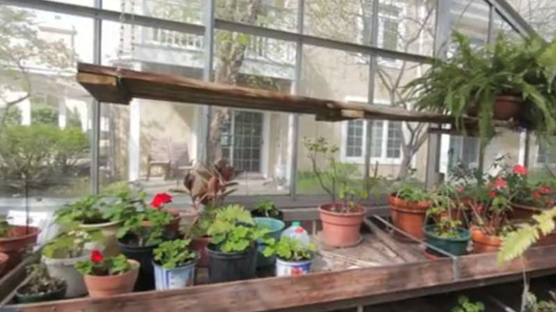 System.Collections.Generic.List`1[AFS.Common.Models.Photo] - Image 6