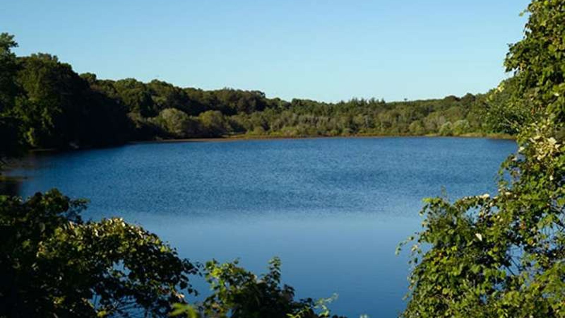 System.Collections.Generic.List`1[AFS.Common.Models.Photo] - Image 6