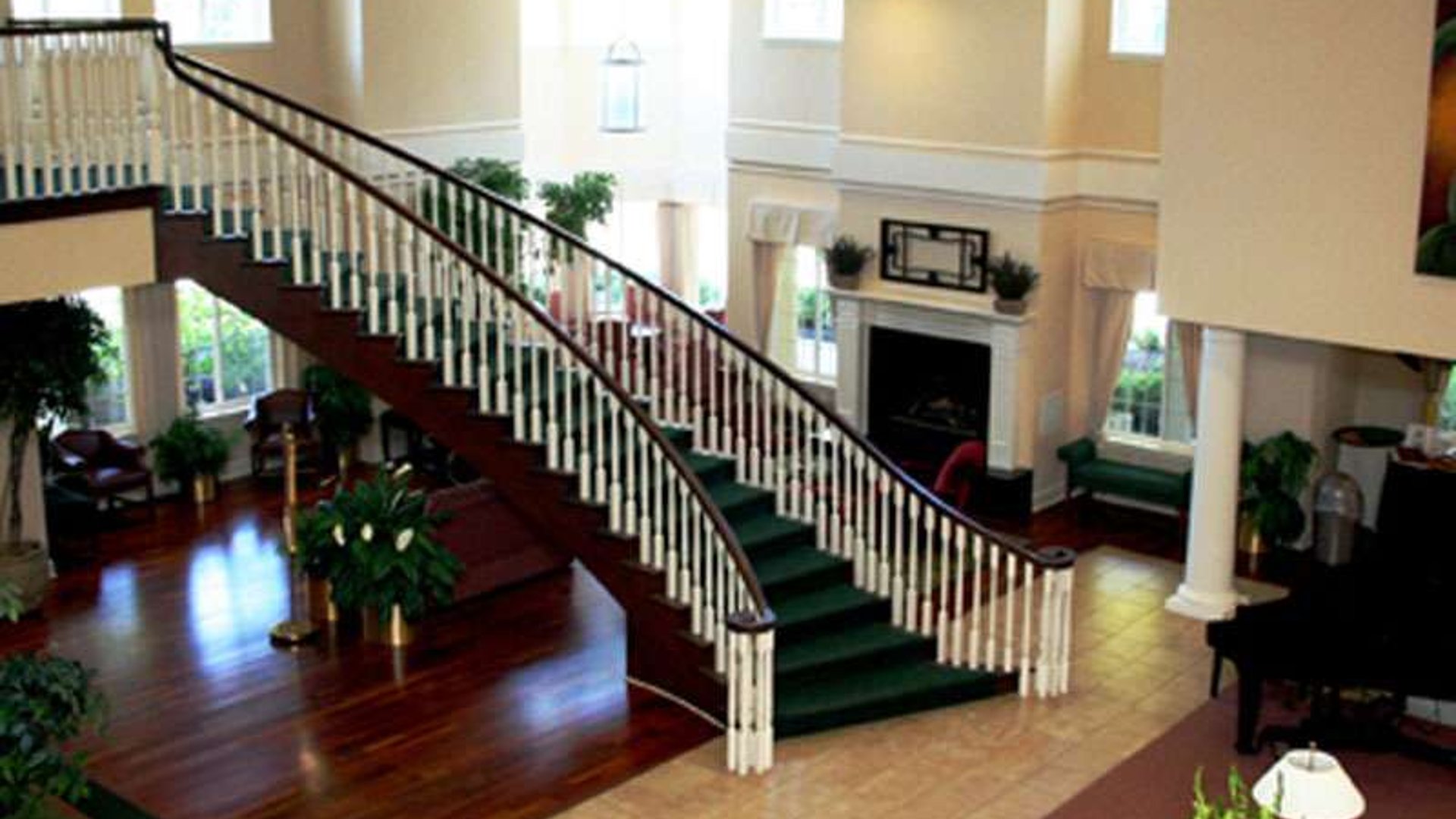 System.Collections.Generic.List`1[AFS.Common.Models.Photo] - Image 4