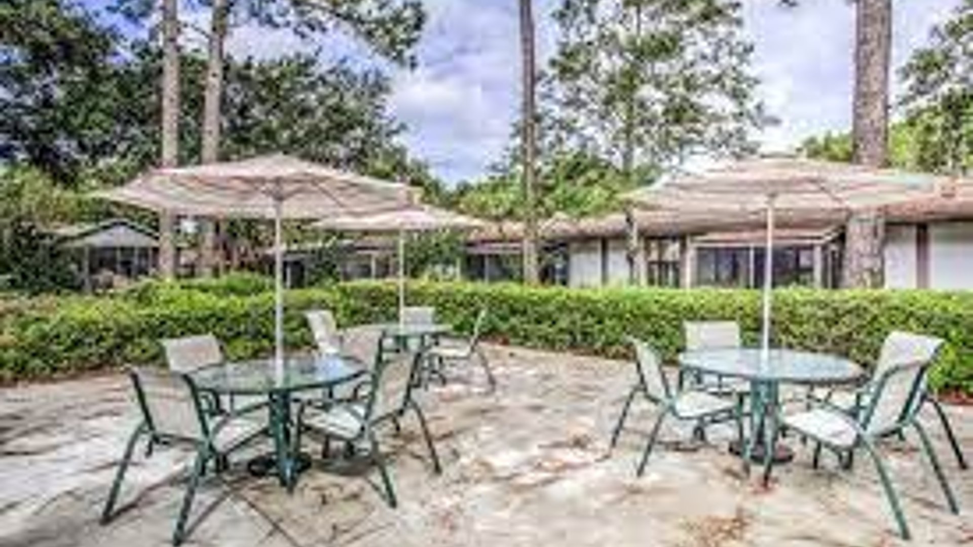 System.Collections.Generic.List`1[AFS.Common.Models.Photo] - Image 2