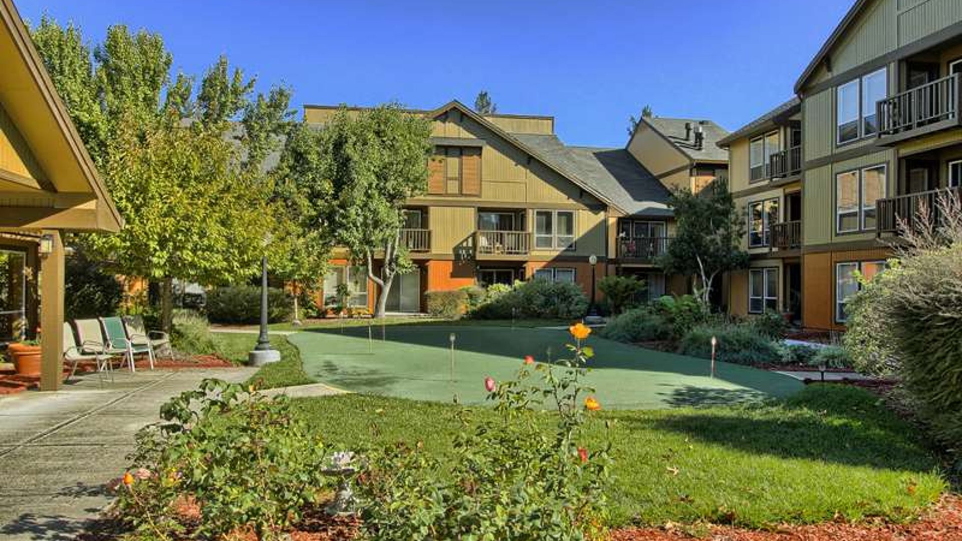 System.Collections.Generic.List`1[AFS.Common.Models.Photo] - Image 1