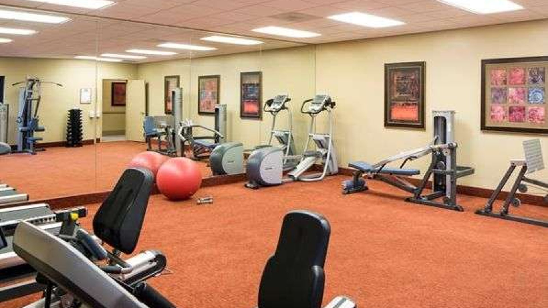 System.Collections.Generic.List`1[AFS.Common.Models.Photo] - Image 6