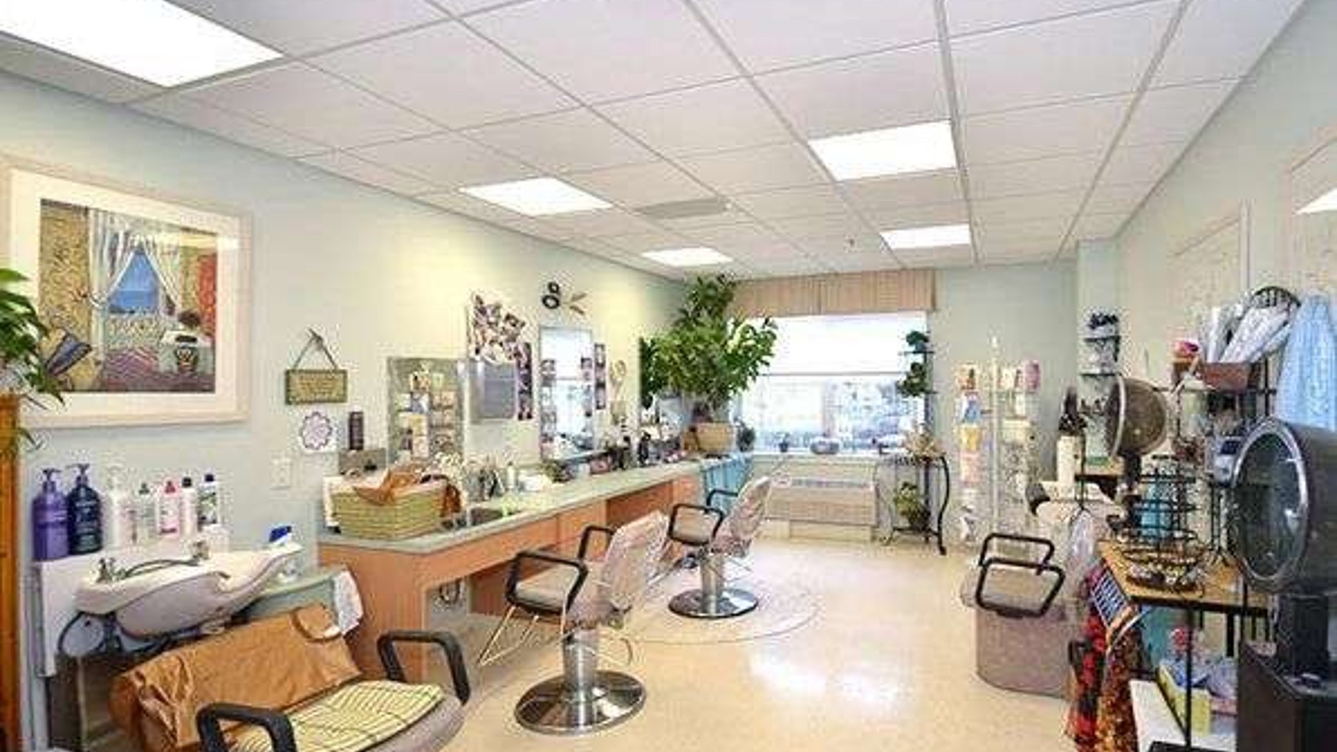 System.Collections.Generic.List`1[AFS.Common.Models.Photo] - Image 5