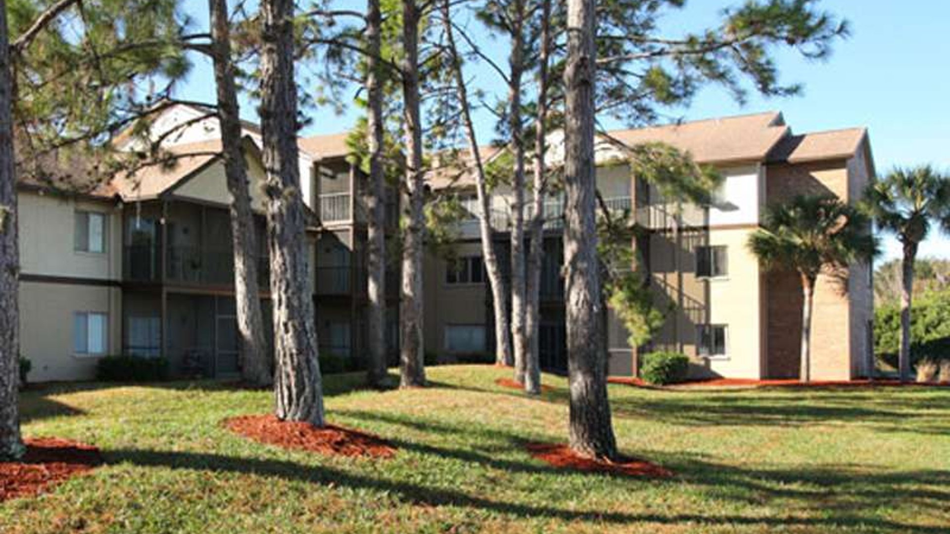 System.Collections.Generic.List`1[AFS.Common.Models.Photo] - Image 3