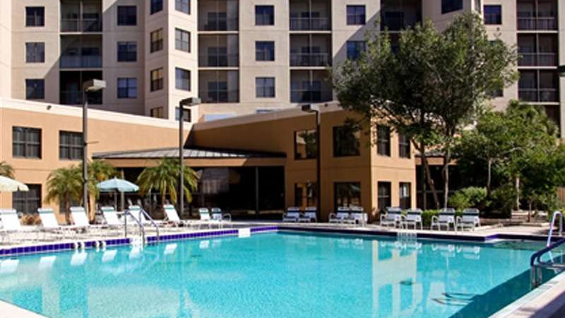 System.Collections.Generic.List`1[AFS.Common.Models.Photo] - Image 1